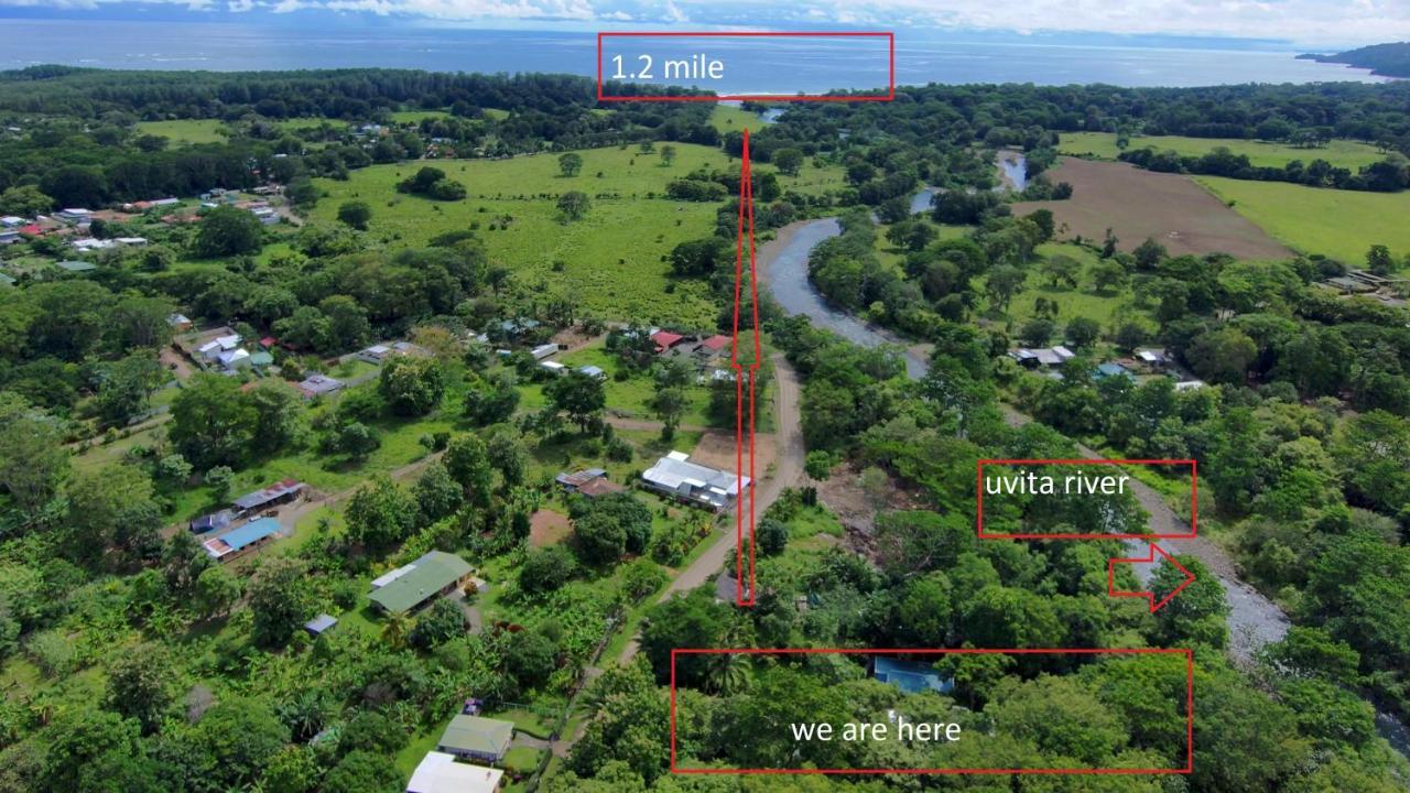 Uvita River Guesthouse Exteriör bild